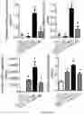 Fig. 28 - ALK7 ANTAGONISTS AND USES THEREOF