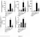 Fig. 29 - ALK7 ANTAGONISTS AND USES THEREOF
