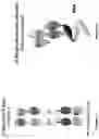 Fig. 03 - BCMA and CD3 bispecific T cell engaging antibody constructs