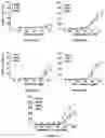 Fig. 04 - BCMA and CD3 bispecific T cell engaging antibody constructs