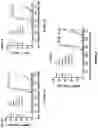 Fig. 05 - BCMA and CD3 bispecific T cell engaging antibody constructs