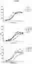 Fig. 08 - BISPECIFIC ANTIBODY AGAINST OX40 AND CTLA-4