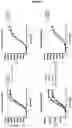 Fig. 11 - BISPECIFIC ANTIBODY AGAINST OX40 AND CTLA-4