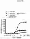 Fig. 20 - BISPECIFIC ANTIBODY AGAINST OX40 AND CTLA-4
