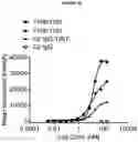 Fig. 21 - BISPECIFIC ANTIBODY AGAINST OX40 AND CTLA-4