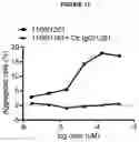 Fig. 22 - BISPECIFIC ANTIBODY AGAINST OX40 AND CTLA-4