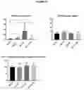 Fig. 25 - BISPECIFIC ANTIBODY AGAINST OX40 AND CTLA-4