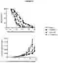 Fig. 27 - BISPECIFIC ANTIBODY AGAINST OX40 AND CTLA-4