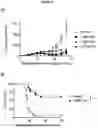 Fig. 28 - BISPECIFIC ANTIBODY AGAINST OX40 AND CTLA-4