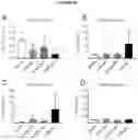 Fig. 30 - BISPECIFIC ANTIBODY AGAINST OX40 AND CTLA-4