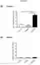 Fig. 32 - BISPECIFIC ANTIBODY AGAINST OX40 AND CTLA-4
