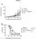 Fig. 33 - BISPECIFIC ANTIBODY AGAINST OX40 AND CTLA-4