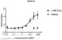 Fig. 36 - BISPECIFIC ANTIBODY AGAINST OX40 AND CTLA-4