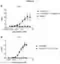 Fig. 37 - BISPECIFIC ANTIBODY AGAINST OX40 AND CTLA-4