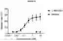 Fig. 41 - BISPECIFIC ANTIBODY AGAINST OX40 AND CTLA-4