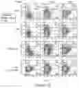 Fig. 11 - SHP INHIBITOR COMPOSITIONS AND USES FOR CHIMERIC ANTIGEN RECEPTOR THERAPY