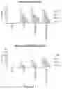 Fig. 12 - SHP INHIBITOR COMPOSITIONS AND USES FOR CHIMERIC ANTIGEN RECEPTOR THERAPY