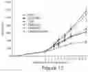 Fig. 13 - SHP INHIBITOR COMPOSITIONS AND USES FOR CHIMERIC ANTIGEN RECEPTOR THERAPY