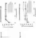 Fig. 17 - SHP INHIBITOR COMPOSITIONS AND USES FOR CHIMERIC ANTIGEN RECEPTOR THERAPY