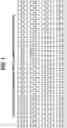 Fig. 02 - Endoglin Antibodies