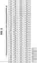 Fig. 03 - Endoglin Antibodies