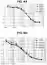 Fig. 11 - Endoglin Antibodies