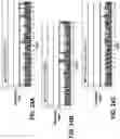 Fig. 30 - Endoglin Antibodies