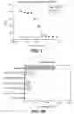 Fig. 05 - Anti-OX40 antibodies and their uses