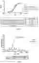 Fig. 03 - Recombinant bifunctional protein targeting CD47 and HER2