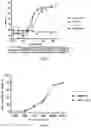 Fig. 04 - Recombinant bifunctional protein targeting CD47 and HER2