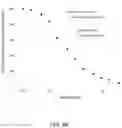 Fig. 11 - Methods for Treating Conditions Associated with MASP-2 Dependent Complement Activation