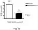 Fig. 23 - Methods for Treating Conditions Associated with MASP-2 Dependent Complement Activation