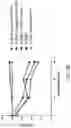 Fig. 46 - Methods for Treating Conditions Associated with MASP-2 Dependent Complement Activation