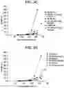 Fig. 07 - N-acetylated and non-acetylated dipeptides containing arginine to reduce the viscosity of viscous compositions of therapeutic polypeptides