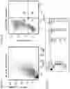 Fig. 07 - Bi-specific fusion proteins