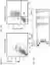 Fig. 11 - Bi-specific fusion proteins