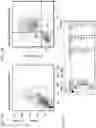 Fig. 15 - Bi-specific fusion proteins