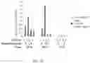 Fig. 32 - Bi-specific fusion proteins