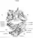 Fig. 12 - Heterodimeric proteins
