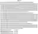 Fig. 121 - Heterodimeric proteins