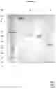 Fig. 16 - Heterodimeric proteins