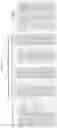 Fig. 161 - Heterodimeric proteins