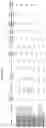 Fig. 57 - Heterodimeric proteins