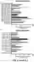 Fig. 08 - TUMOR ANTIGEN PRESENTATION INDUCER CONSTRUCTS AND USES THEREOF