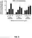Fig. 12 - TUMOR ANTIGEN PRESENTATION INDUCER CONSTRUCTS AND USES THEREOF