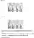 Fig. 03 - Biological Products