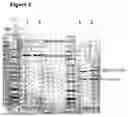Fig. 04 - Biological Products
