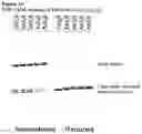 Fig. 20 - Biological Products
