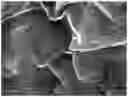 Fig. 01 - Composite resin material and molded body