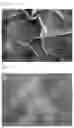 Fig. 02 - Composite resin material and molded body